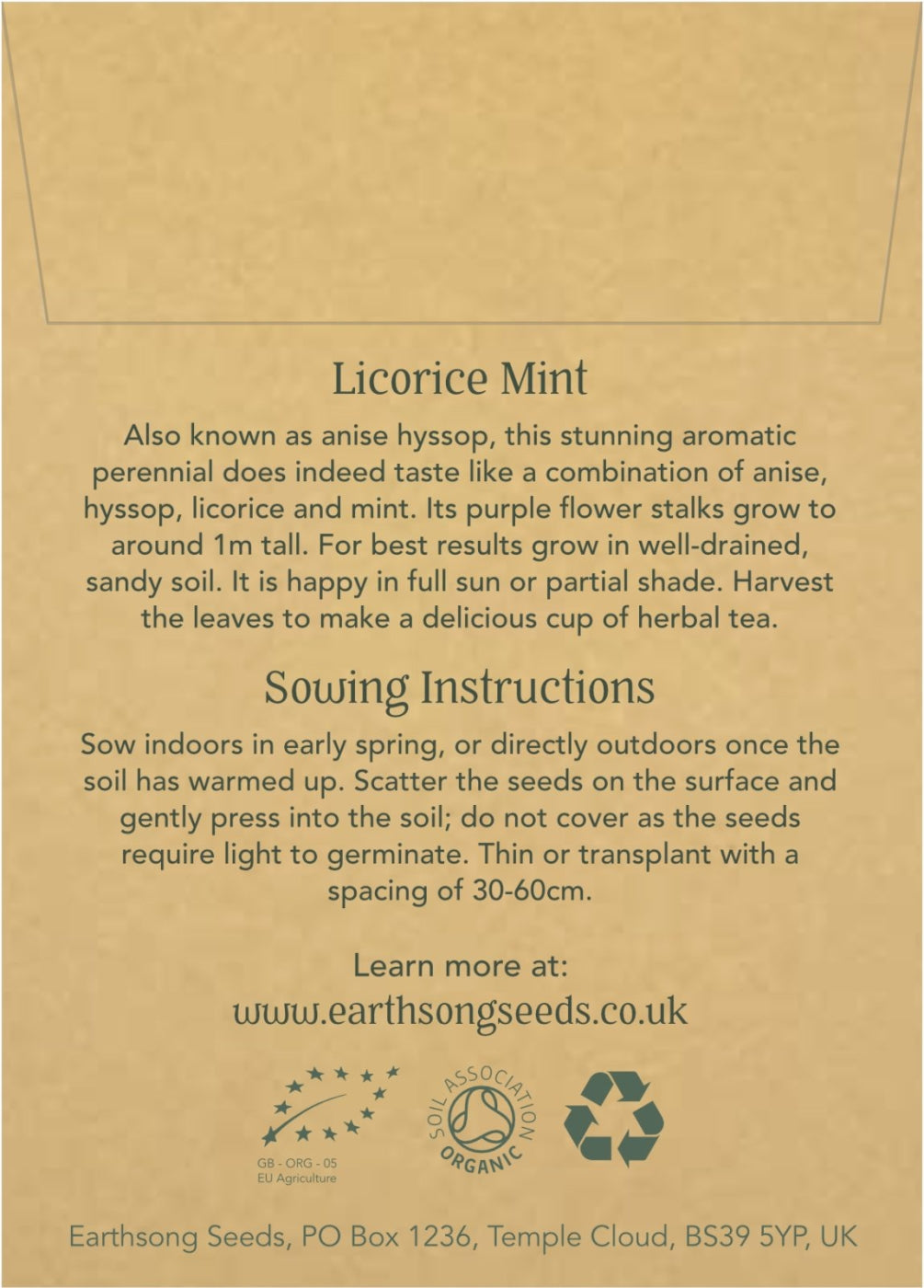 Licorice Mint - Seed Packet