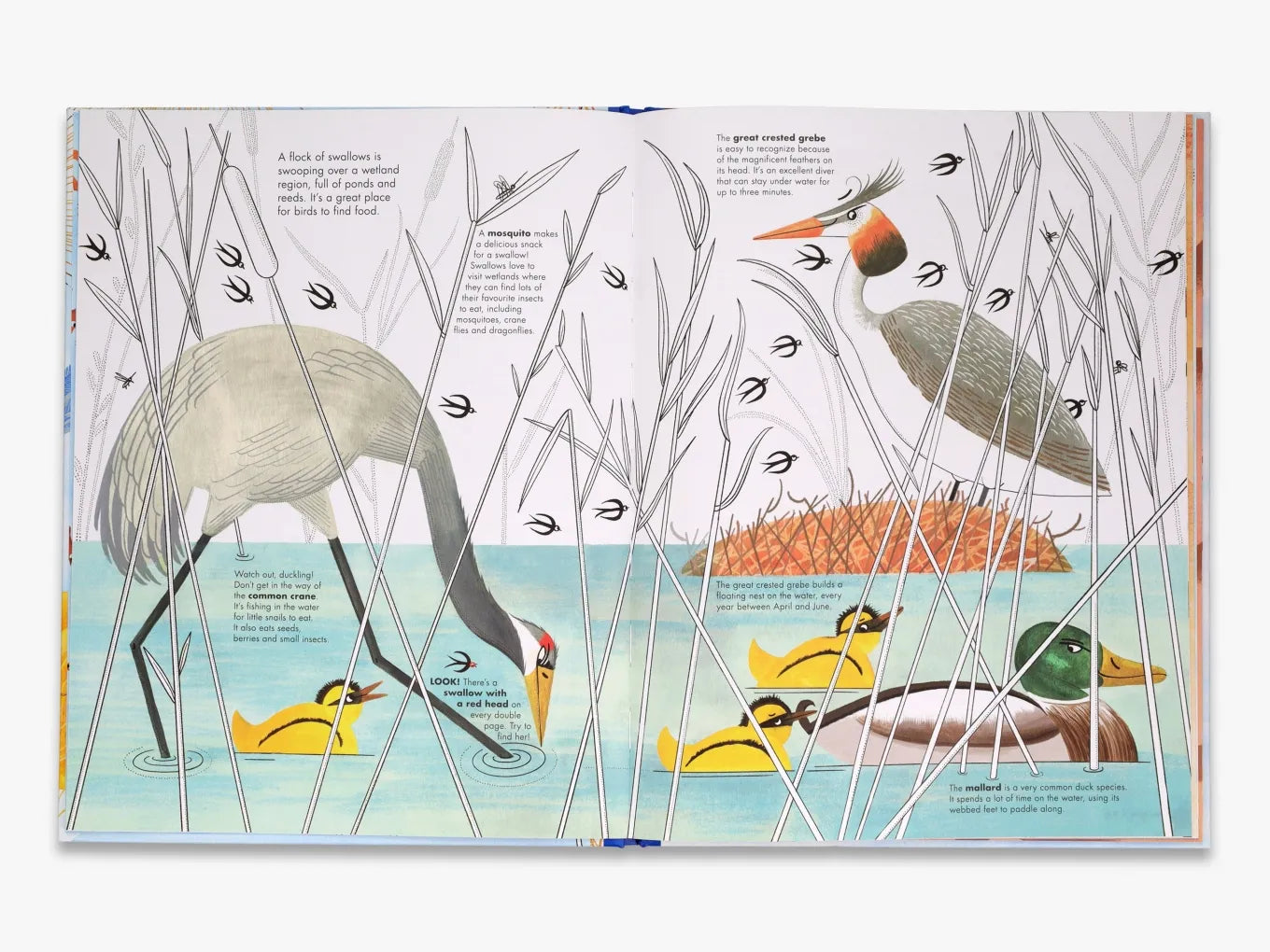 1001 Birds - By Joanna Rzezak