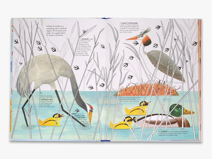 1001 Birds - By Joanna Rzezak