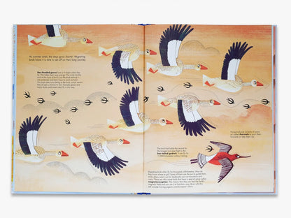 1001 Birds - By Joanna Rzezak