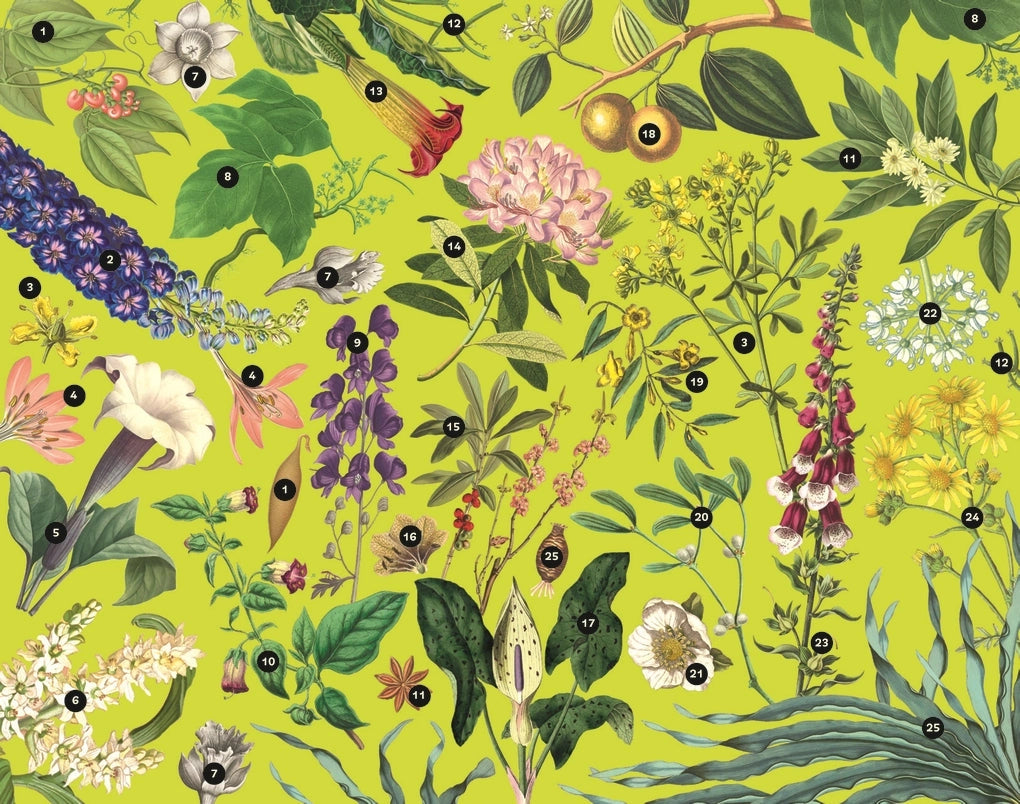 Poisonous Plants - 1000 Piece Kew Botanical Jigsaw Puzzle