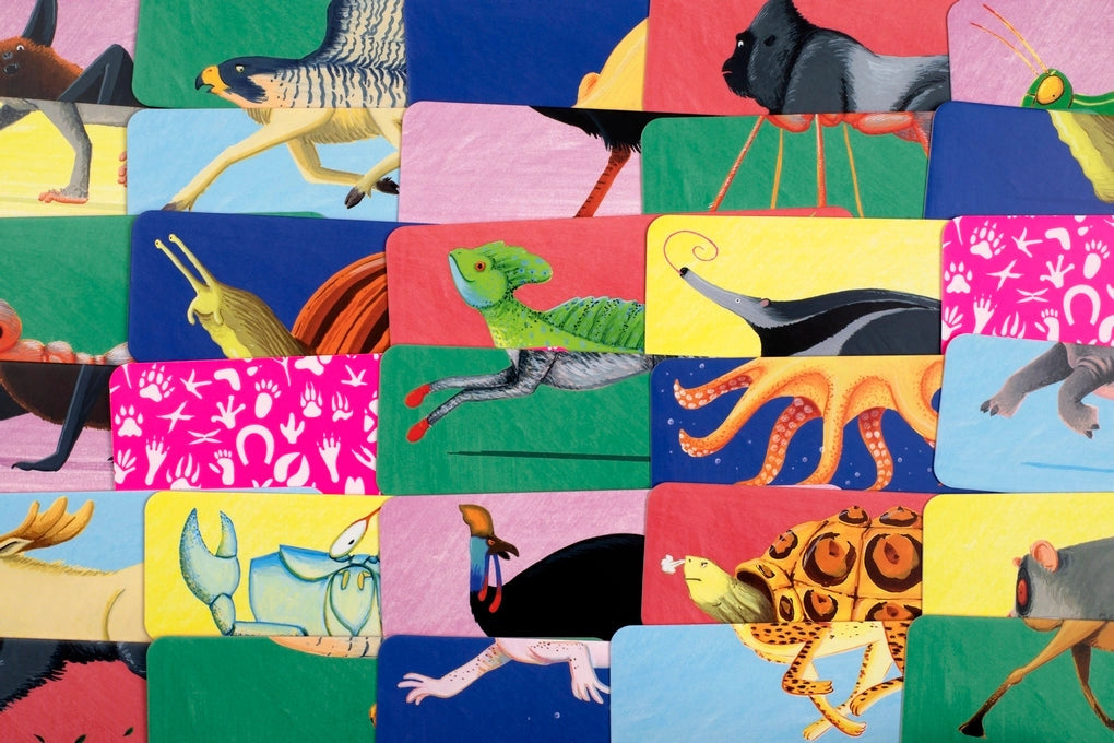 Whose Hooves: An Animal Mix and Match Game