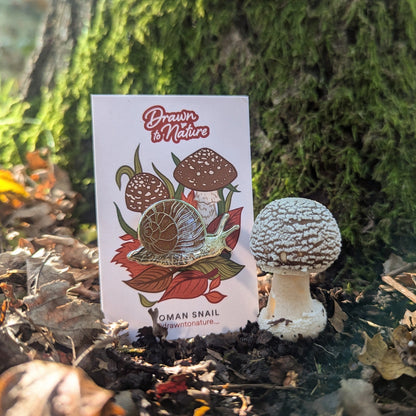 Snail Enamel Pin