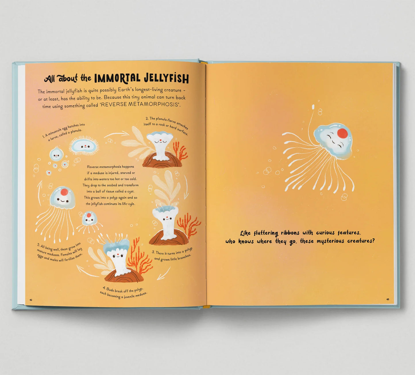5 Minute Ocean Stories: True Tales from the Sea - By Gabby Dawnay, Illustrated by Mona K