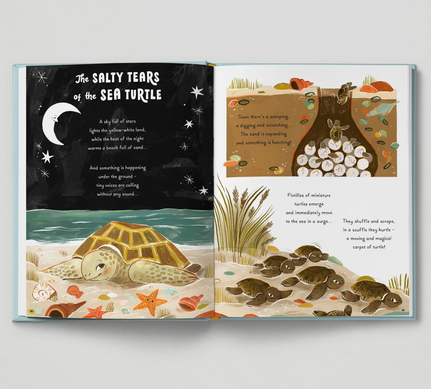 5 Minute Ocean Stories: True Tales from the Sea - By Gabby Dawnay, Illustrated by Mona K
