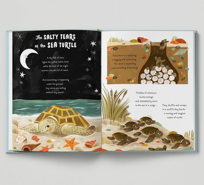 5 Minute Ocean Stories: True Tales from the Sea - By Gabby Dawnay, Illustrated by Mona K