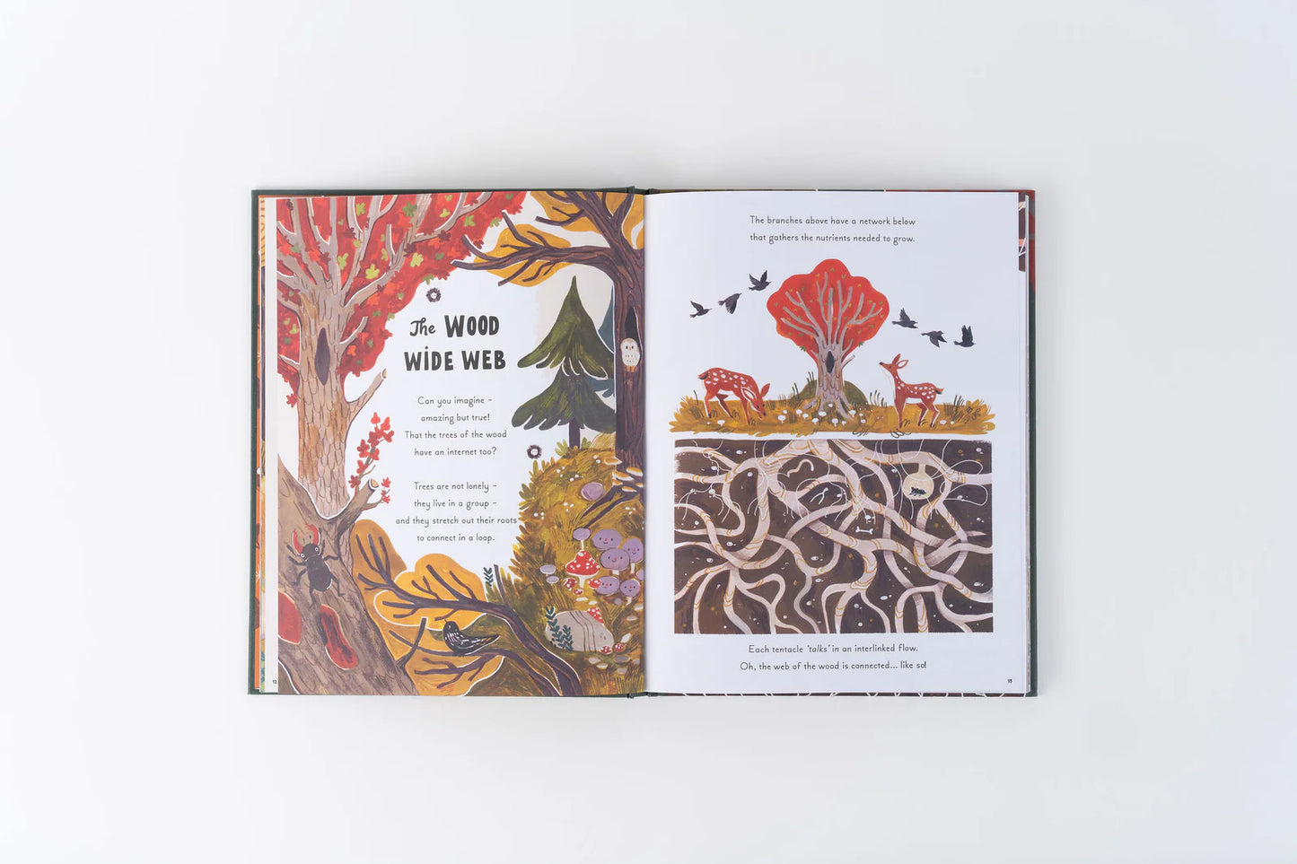 5 Minute Nature Stories: True Tales from the Woodland - By Gabby Dawnay, Illustrated by Mona K