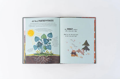 5 Minute Nature Stories: True Tales from the Woodland - By Gabby Dawnay, Illustrated by Mona K