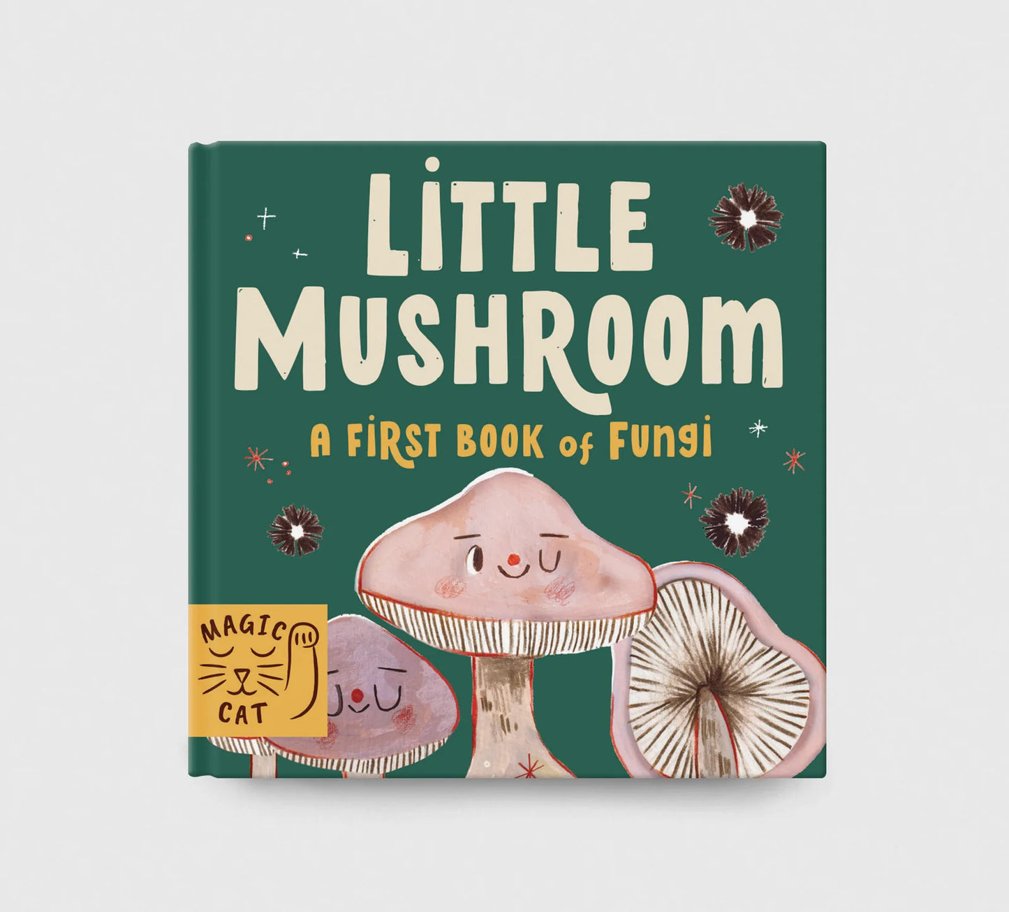 5 Minute Nature Story Box - By  Gabby Dawnay, Illustrated by Mona K