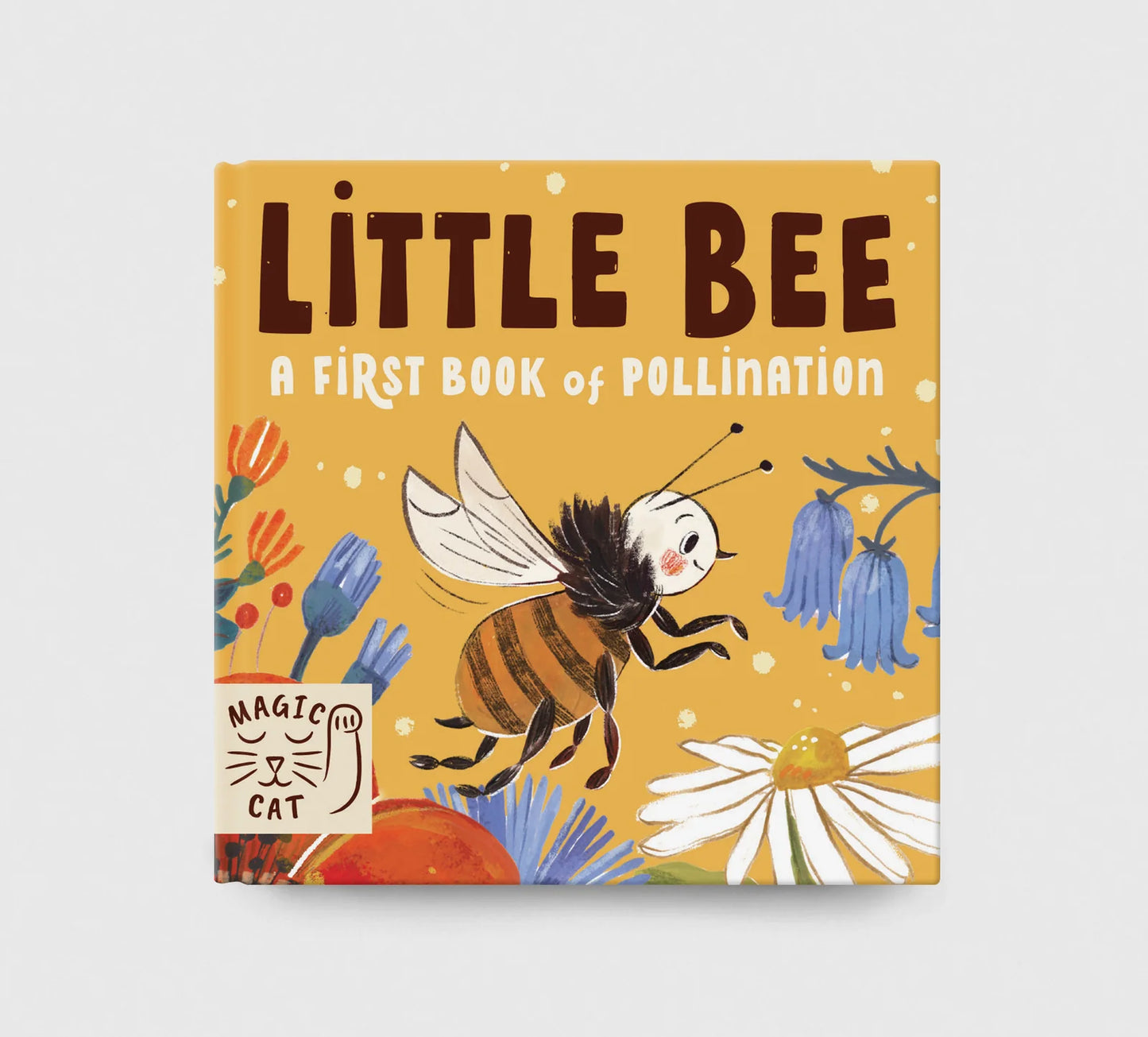 5 Minute Nature Story Box - By  Gabby Dawnay, Illustrated by Mona K