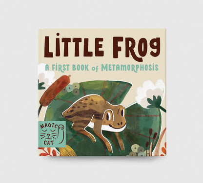 5 Minute Nature Story Box - By  Gabby Dawnay, Illustrated by Mona K
