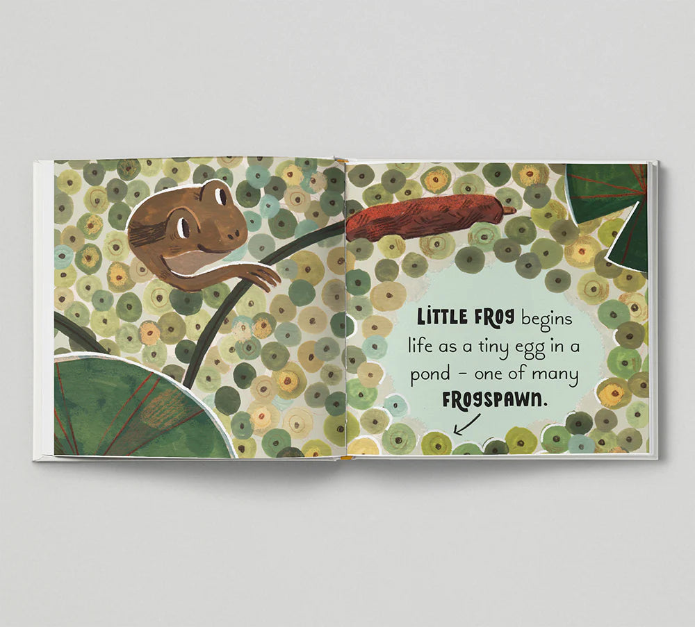 5 Minute Nature Story Box - By  Gabby Dawnay, Illustrated by Mona K