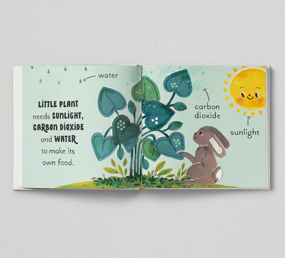5 Minute Nature Story Box - By  Gabby Dawnay, Illustrated by Mona K