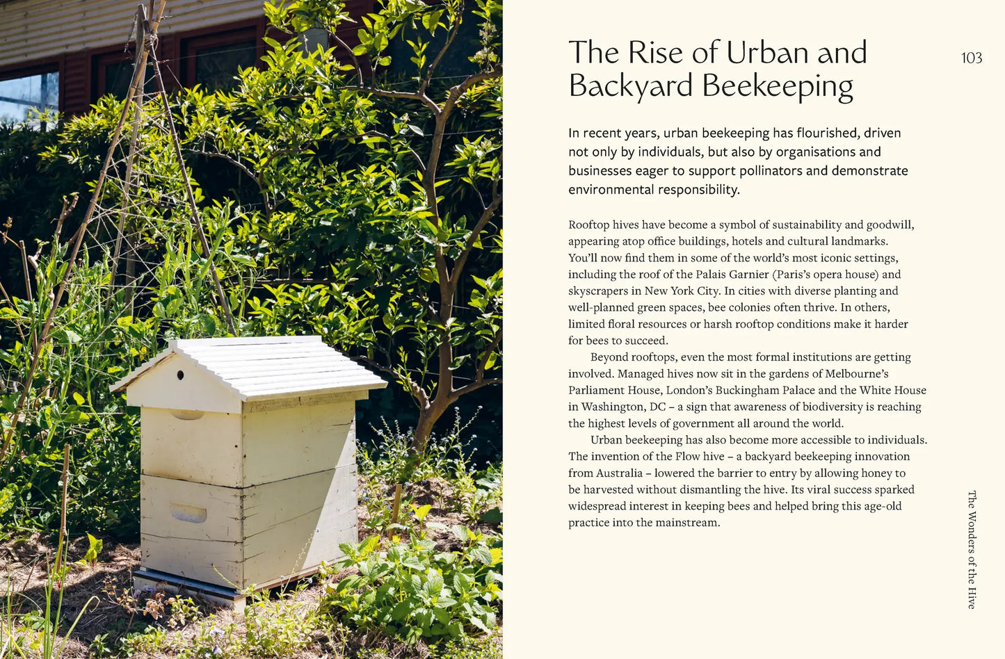 Honeybees - By Mary Trumble & Henry Fried
