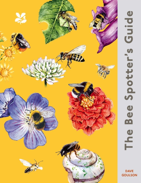 The Bee Spotter’s Guide - By Dave Goulson & The National Trust