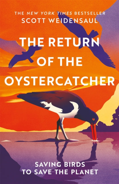 The Return of the Oystercatchers: Saving Birds to Save the Planet - By Scott Weidensaul