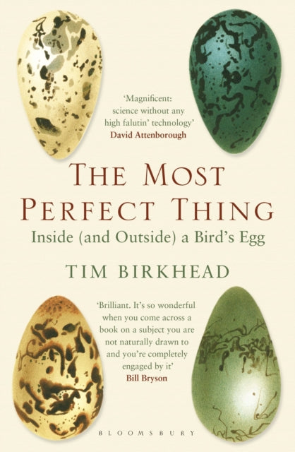 The Most Perfect Thing: Inside (and Outside) a Bird’s Egg - By Time Birkhead