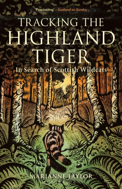 Tracking the Highland Tiger: In Search of Scottish Wildcats - By Marianne Taylor