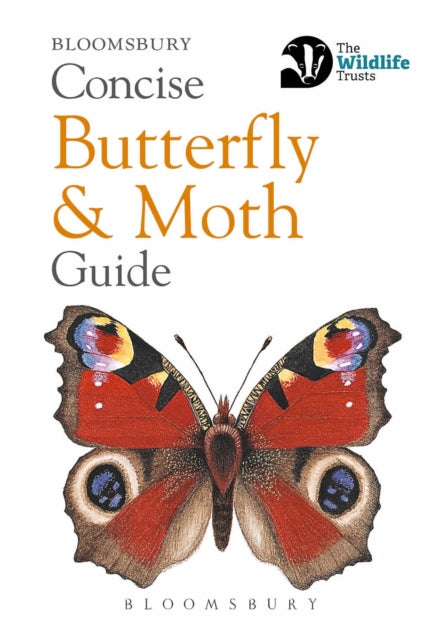 Concise Butterfly and Moth Guide - By Bloomsbury