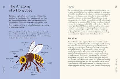 Honeybees - By Mary Trumble & Henry Fried