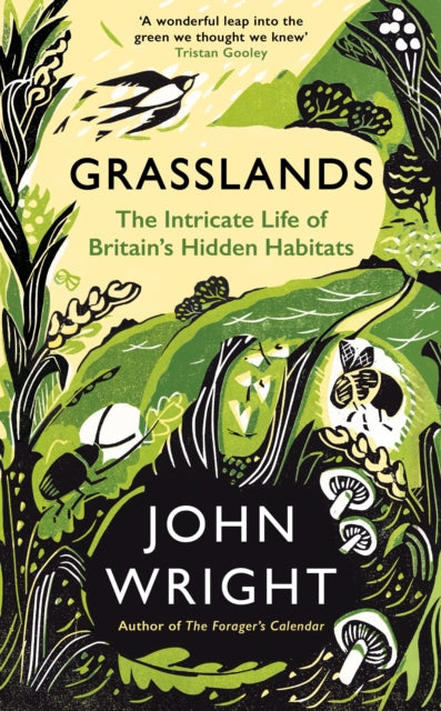 Grasslands: The Intricate Life of Britain’s Hidden Habitats - By John Wright