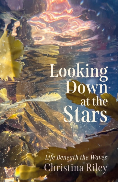 18th June - Christina Riley 'Looking Down at the Stars'
