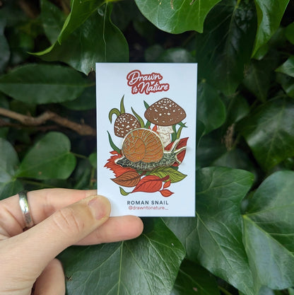 Snail Enamel Pin