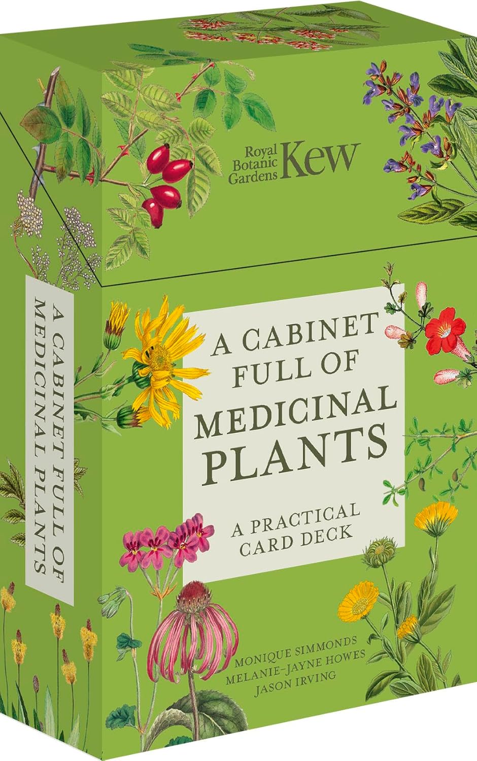 A Cabinet Full of Medicinal Plants - Practical Card Deck