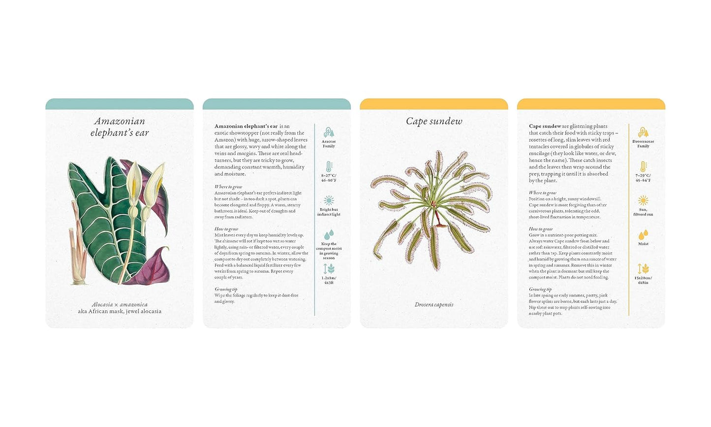 A Home Full of House Plants - Practical Card Deck