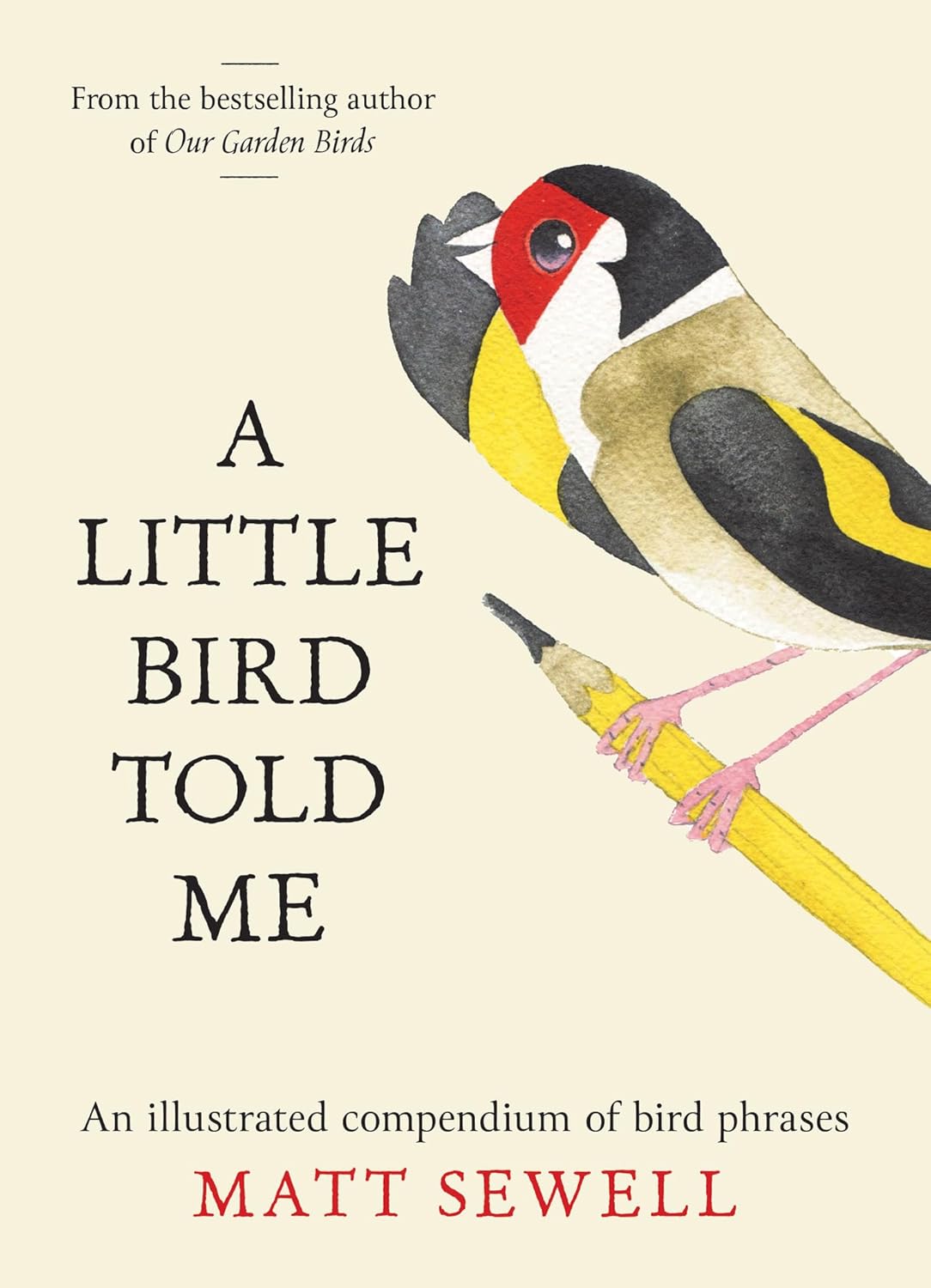 A Little Bird Told Me: An Illustrated Compendium of Bird Phrases - By Matt Sewell