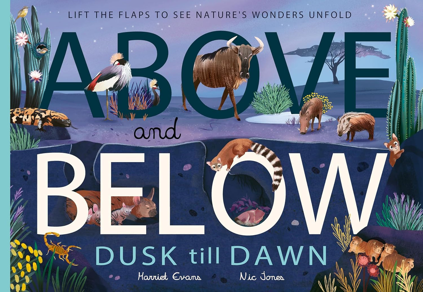 Above and Below: Dusk till Dawn - By Harriet Evans