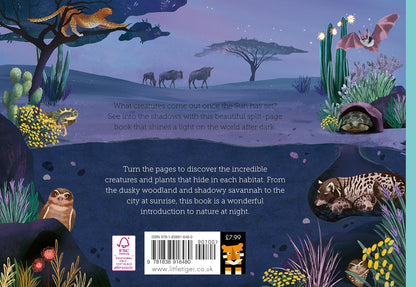 Above and Below: Dusk till Dawn - By Harriet Evans