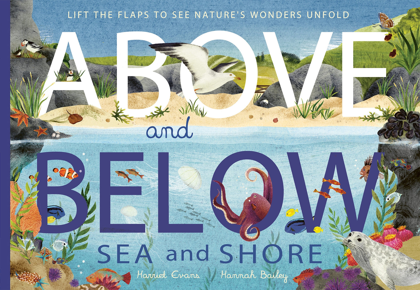 Above and Below: Sea and Shore - By Harriet Evans & Hannah Bailey