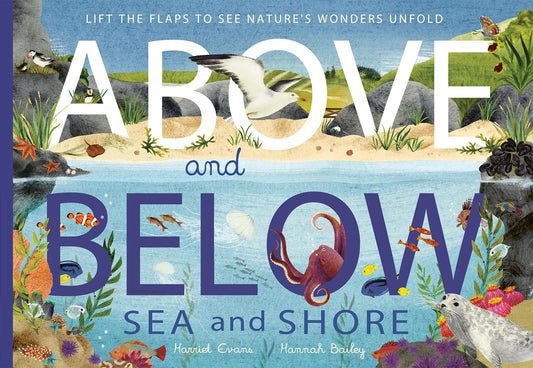 Above and Below: Sea and Shore - By Harriet Evans & Hannah Bailey