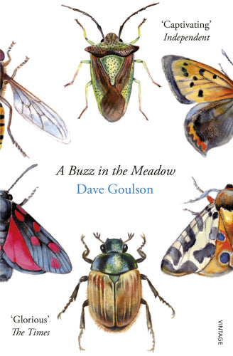 A Buzz in the Meadow - by Dave Goulson