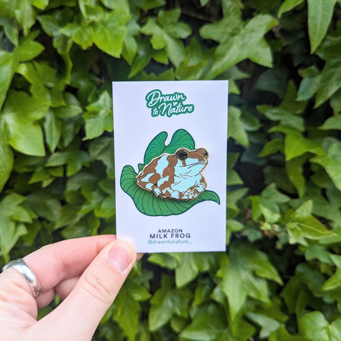 Amazon Milk Frog Enamel Pin