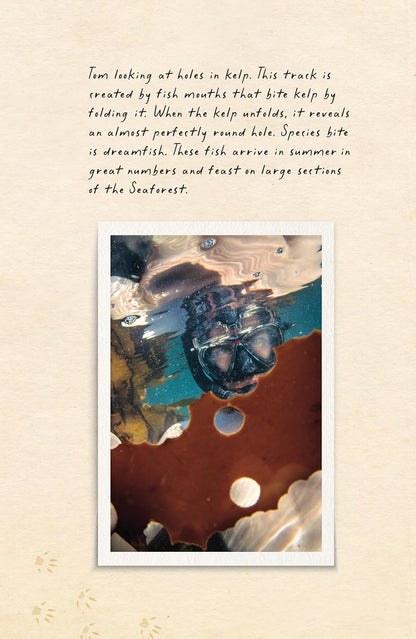 Amphibious Soul - By Craig Foster