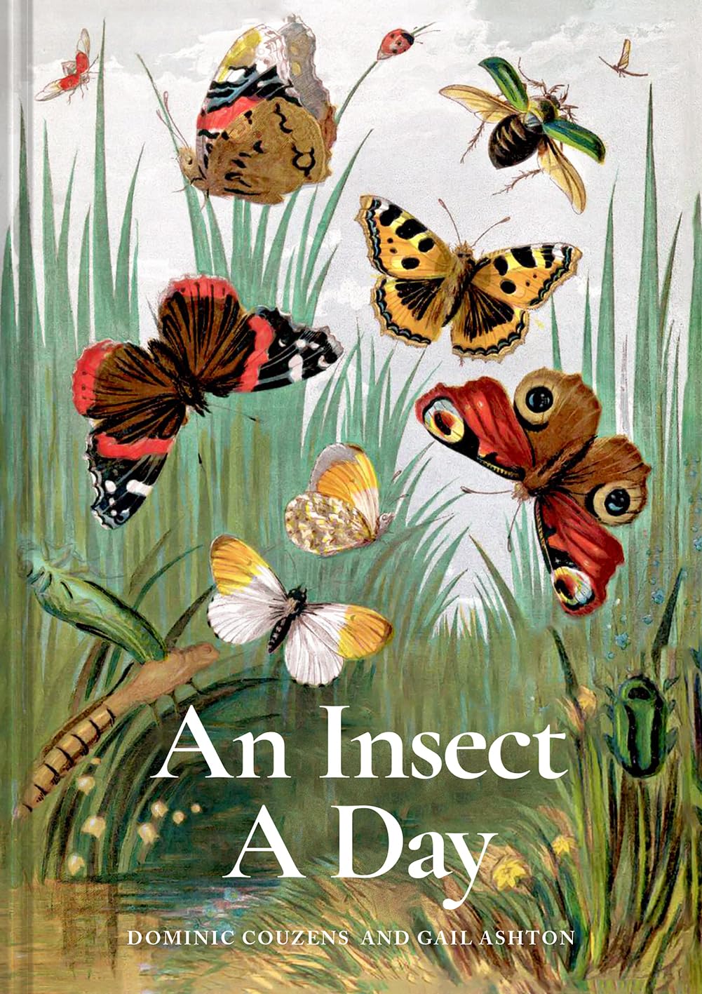 An Insect a Day - By Dominic Couzens & Gail Ashton