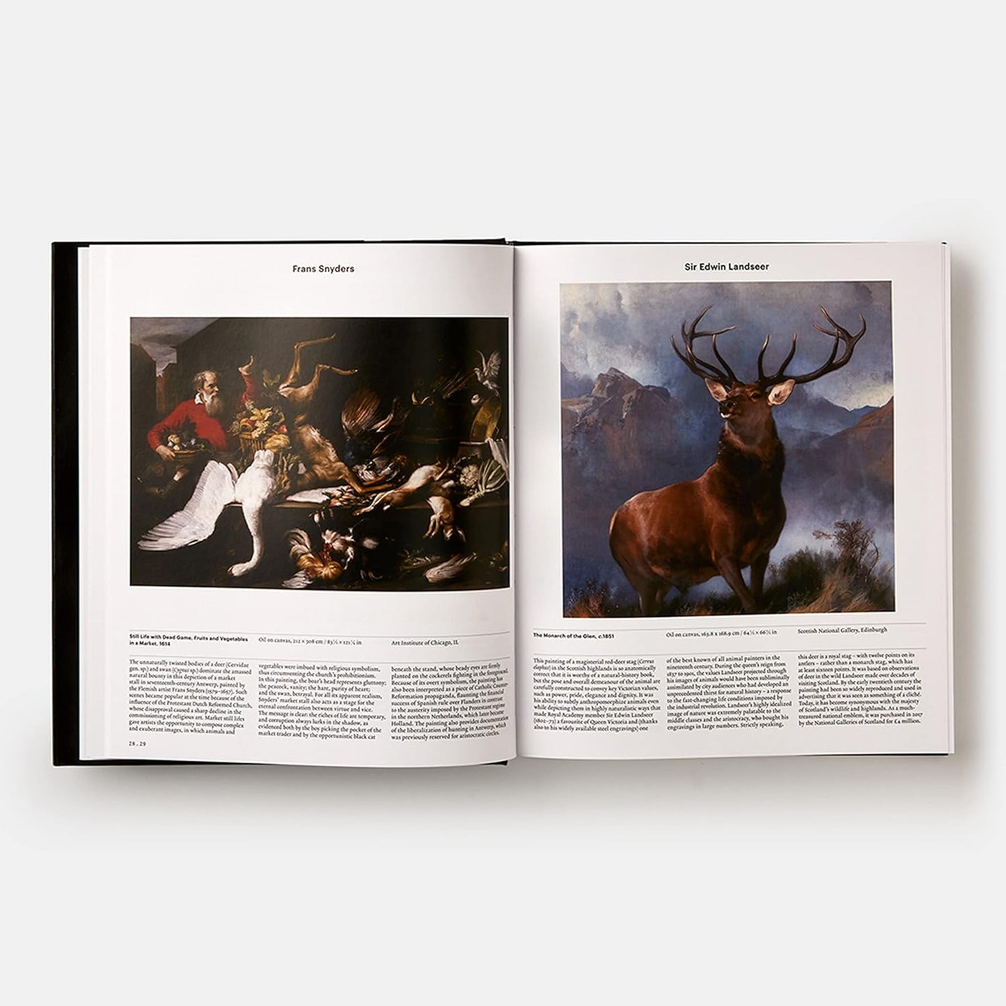Animal: Exploring the Zoological World - by Phaidon Press