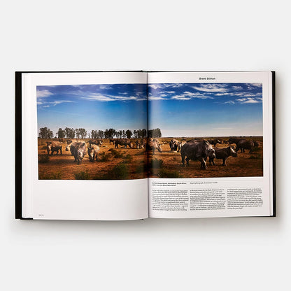 Animal: Exploring the Zoological World - by Phaidon Press