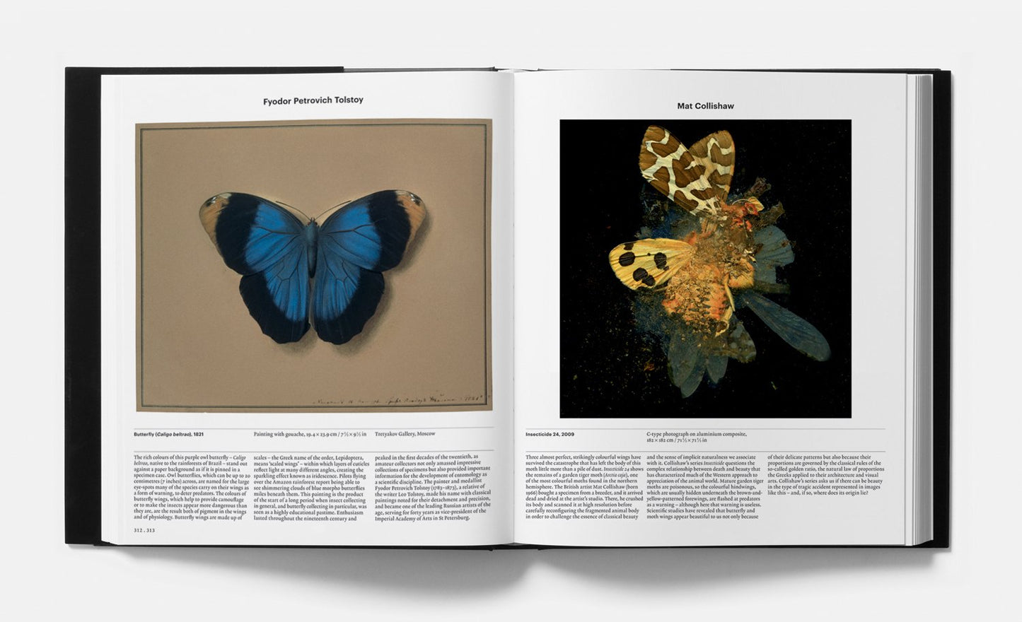 Animal: Exploring the Zoological World - by Phaidon Press