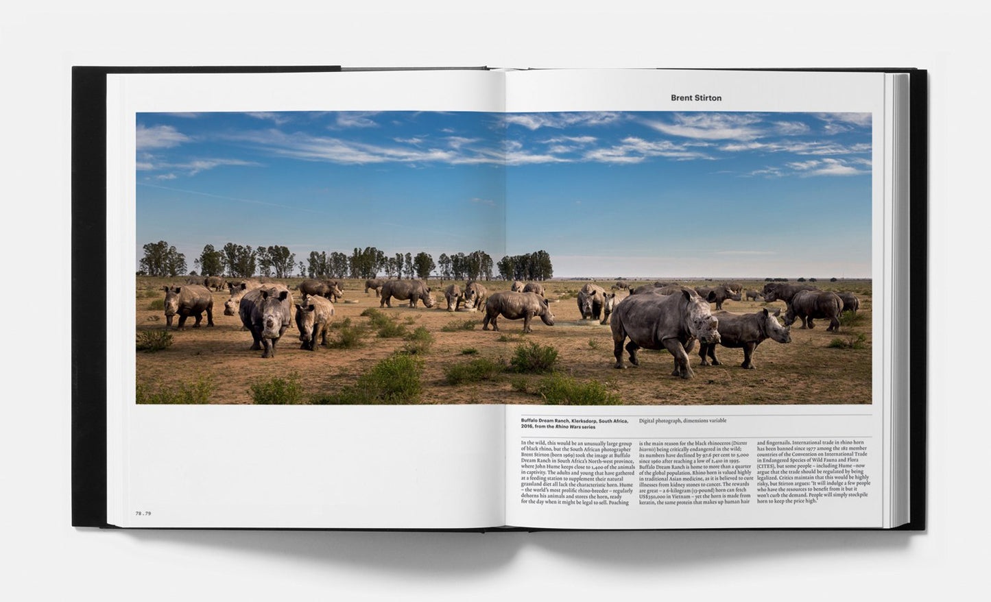 Animal: Exploring the Zoological World - by Phaidon Press