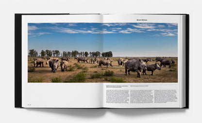 Animal: Exploring the Zoological World - by Phaidon Press