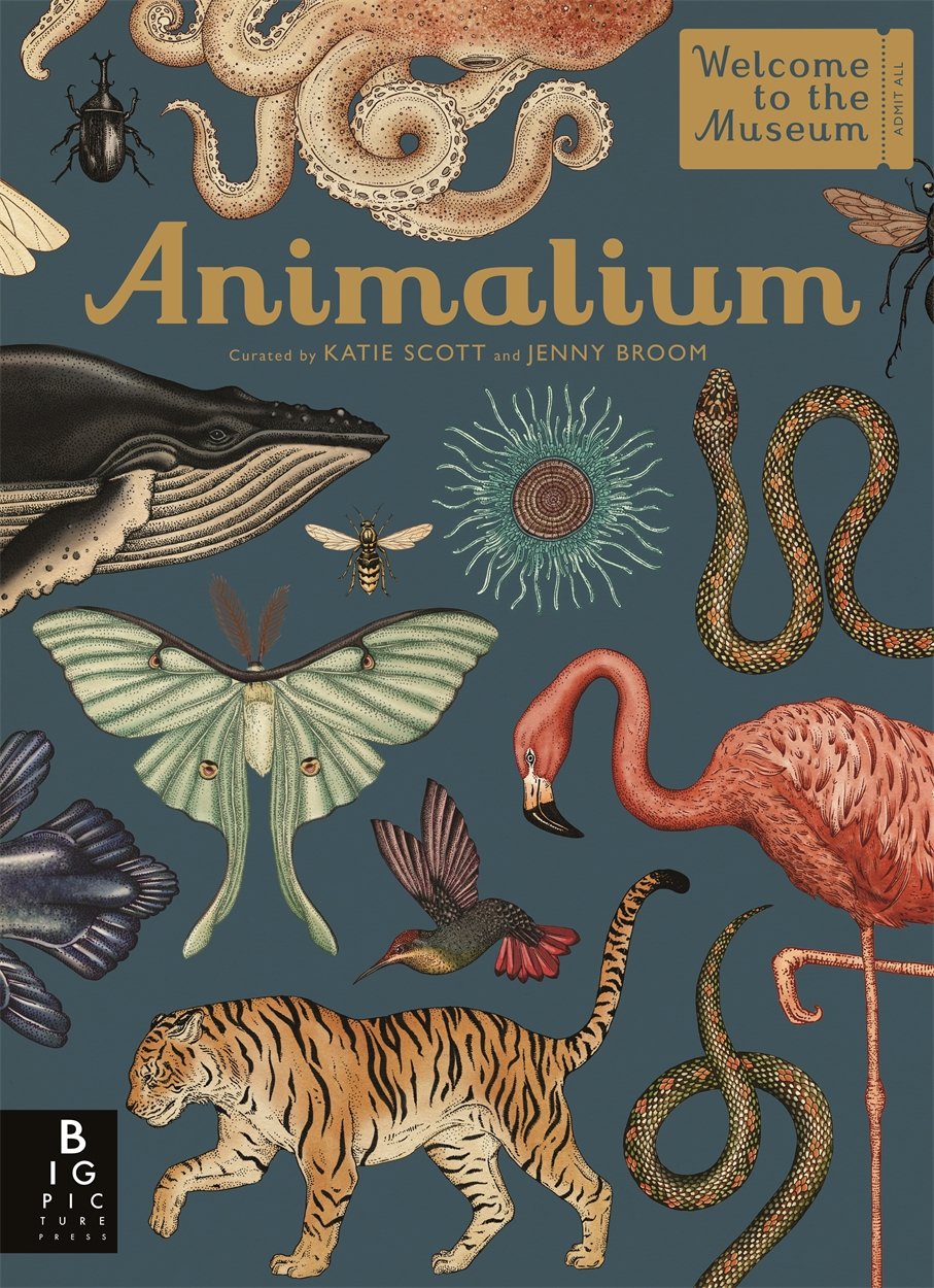 Animalium - By Katie Scott & Jenny Broom