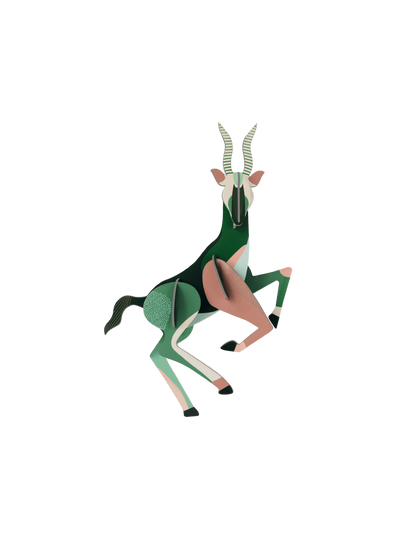 Antelope - StudioROOF