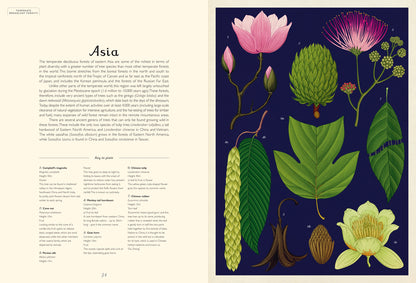Arboretum - By Katie Scott & Tony Kirkham