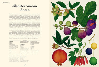 Arboretum - By Katie Scott & Tony Kirkham