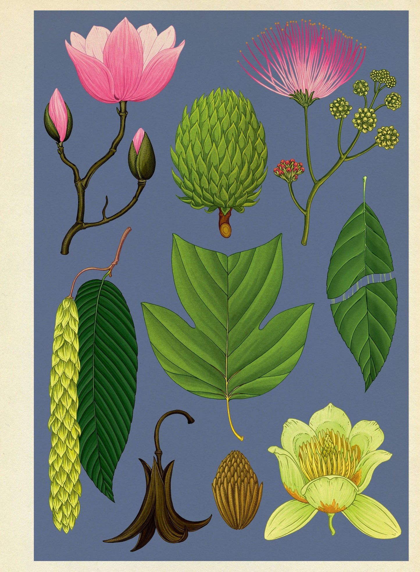 Arboretum Poster Book - By Royal Botanic Gardens Kew