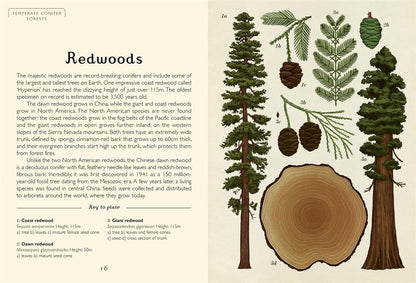 Arboretum Mini - By Katie Scott