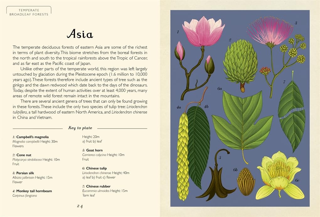 Arboretum Mini - By Katie Scott